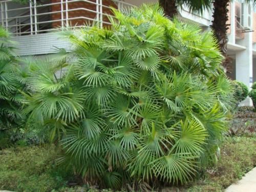 「甲苯密度」除甲醛通風(fēng)，如果你不注意這三點(diǎn)，所有的工作都是徒勞的！