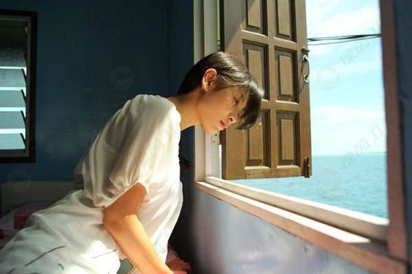 「室內(nèi)空氣質(zhì)量檢測(cè)」分解甲醛的涂料能抗污染嗎？