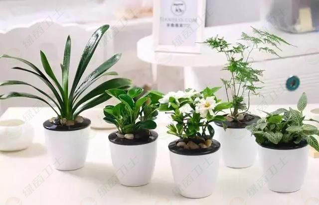 「家具甲醛」出租房甲醛超標，誰付檢測費？如