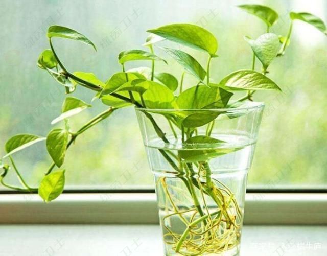 「綿陽甲醛檢測」裝修前后五個環(huán)節(jié)甲醛及裝修污染的防治