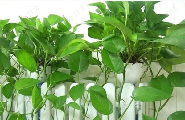 「超標(biāo)率」如何預(yù)防汽車甲醛