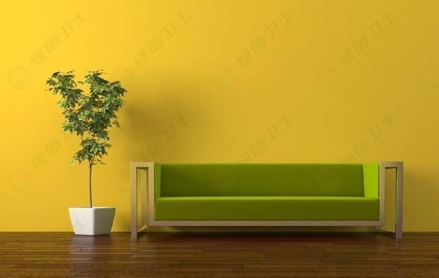 「甲醛中毒吃什么來解毒」專業(yè)正規(guī)的甲醛去除公司可靠嗎？