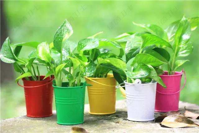 「裝修環(huán)保材料」一輛新車除甲醛還要多少錢？